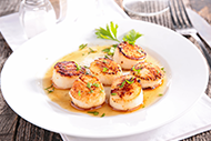 Scallops Scallops